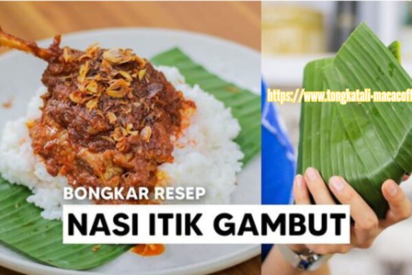 Resep Nasi itik Gambut Sangat Menggiyurkan dan Lezat