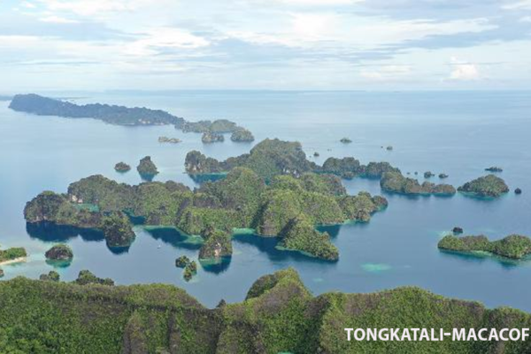 Fakta tentang Raja Ampat yang Dijuluki Surga Terakhir di Bumi