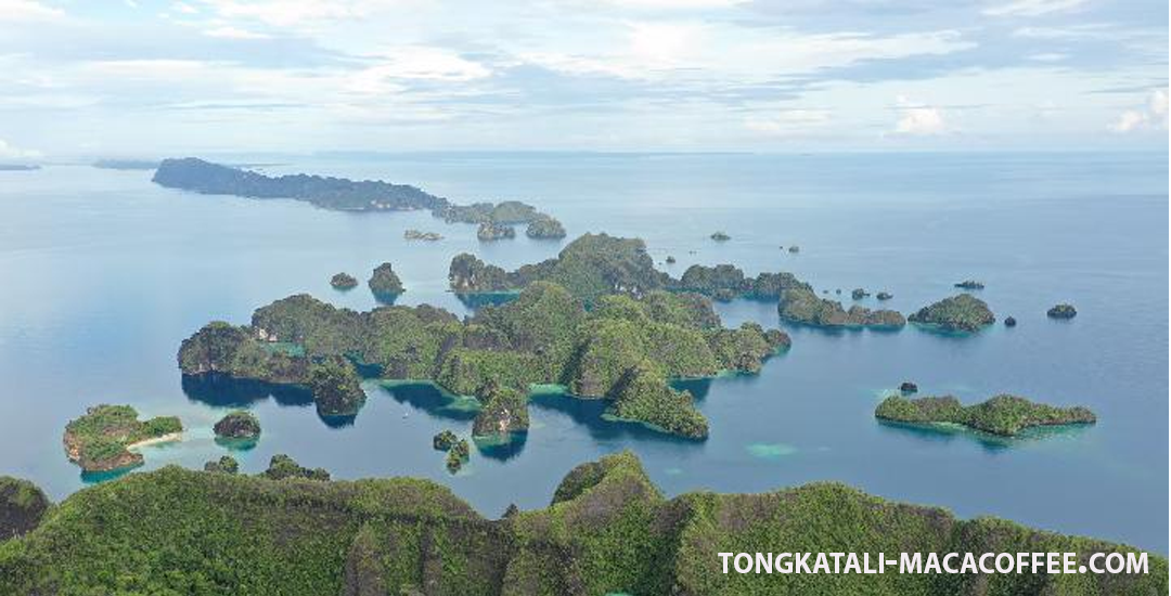 Fakta tentang Raja Ampat yang Dijuluki Surga Terakhir di Bumi