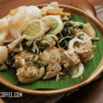 tongkatali-macacoffee.com 4